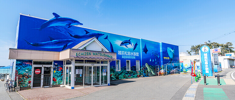 越前松島水族館