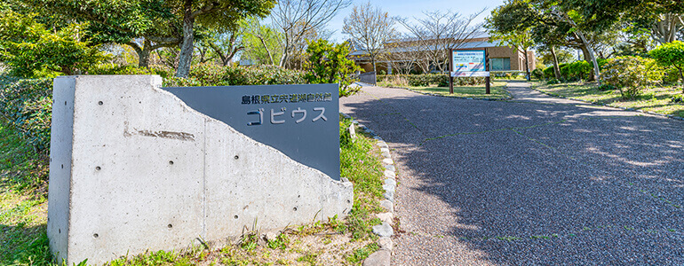 島根県立宍道湖自然館 ゴビウス