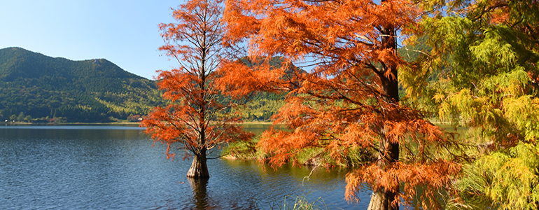 藺牟田池県立自然公園