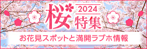 桜特集2024 ～人気のお花見スポット＆満開ラブホ情報～