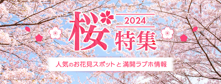 桜特集2024 ～人気のお花見スポット＆満開ラブホ情報～