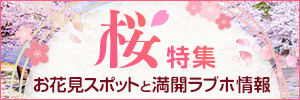 デートで行きたい桜特集2025 ～人気の桜スポットとおすすめラブホ情報～