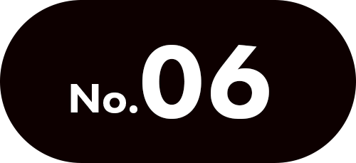 No.06