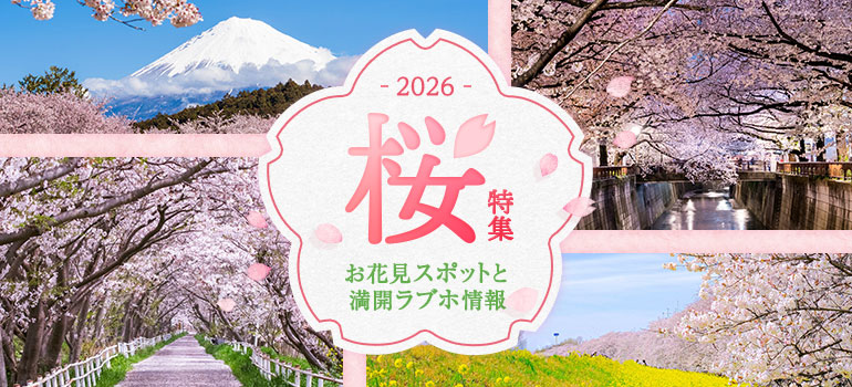 桜デート特集2026｜全国の人気お花見スポット＆周辺おすすめラブホテル情報