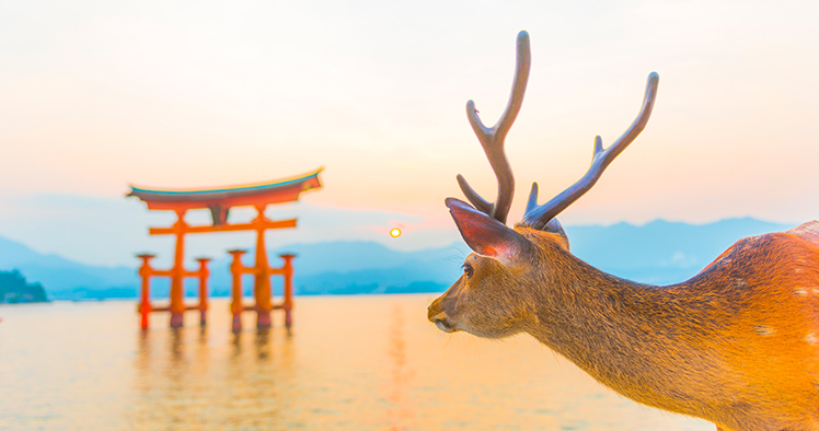 広島県のおすすめラブホテル56選 愛を深めるのにぴったりの場所は ラブホテル検索 予約ならカップルズ