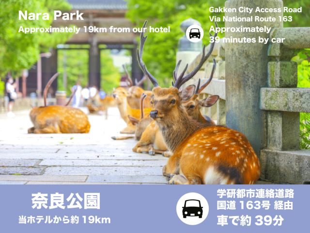 奈良公園奈良といえば、やっぱり奈良公園の鹿さん広々とした公園で、歴史ある寺社と豊かな自然を一緒に楽し...