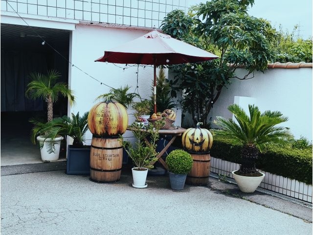 ハロウィンかぼちゃパーティーホテルでは今、たくさんのかぼちゃが皆さんをお出迎えしています。お部屋の中...