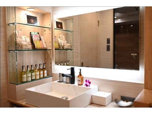 光るミラーに充実のアメニティ、2WAYヘアアイロンもご用意。