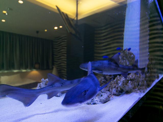 HOTEL LOTUS 豊中店