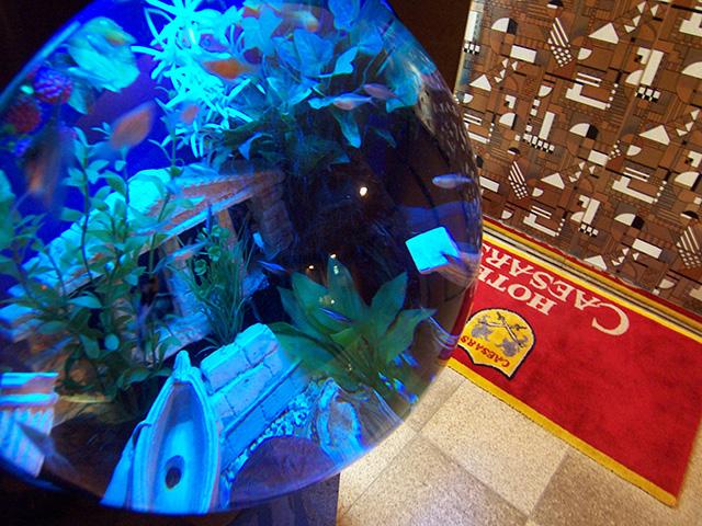 303 「帝王」という名のもとに・・・