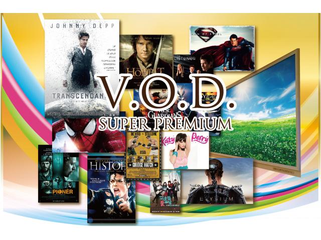 301 大好評!最新のビデオシステム、VOD(ビデオ・オン・デマンド)タイトル多数