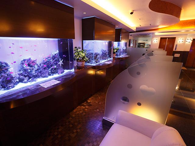 Hotel AQUA OASIS(ホテル アクア オアシス)