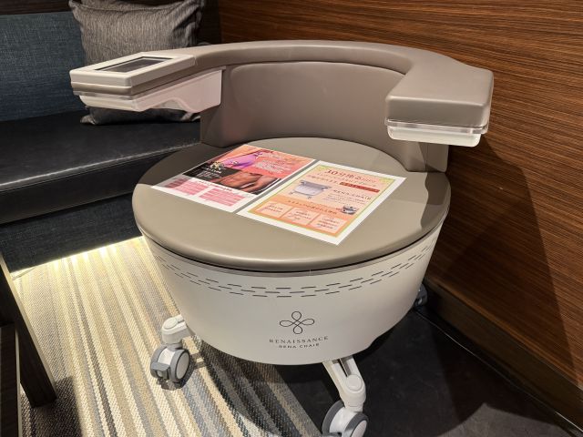 205 ルネチェア導入