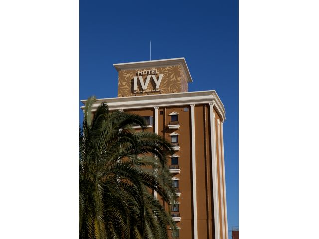 HOTEL IVY (ホテル アイヴィー)