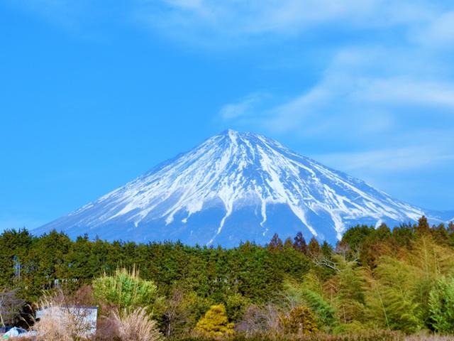 211号室 / 世界遺産富士山 ★世界遺産・富士山★