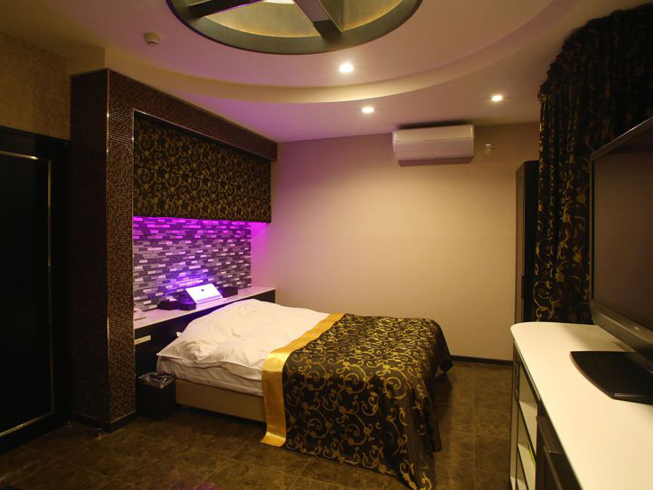 202【アルファ】