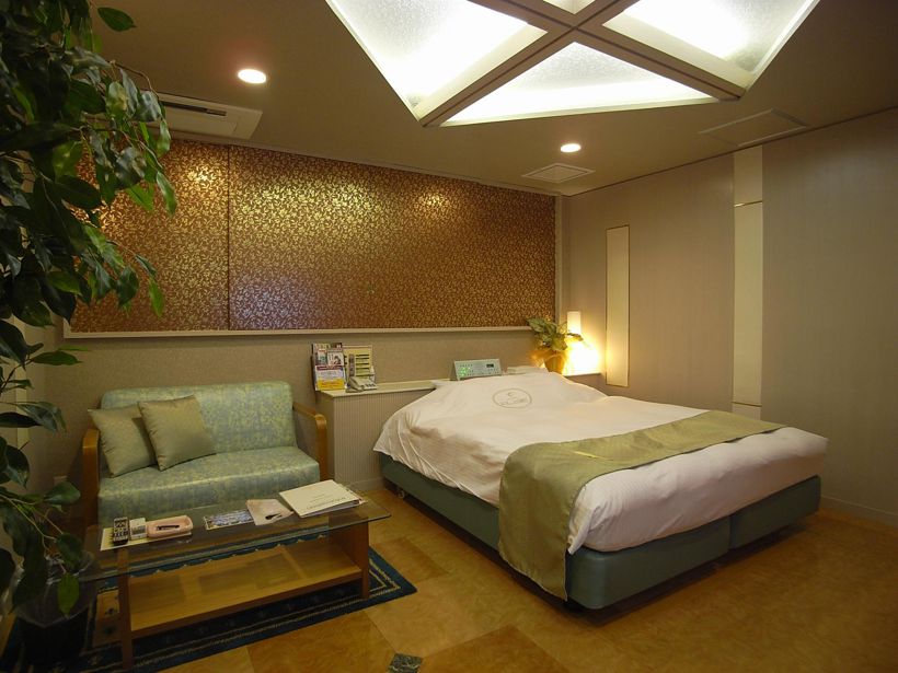 206【マキシム】