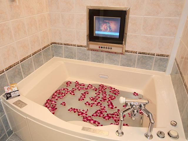 SAKURA HOTEL MOSAIC(サクラ ホテル モザイク)