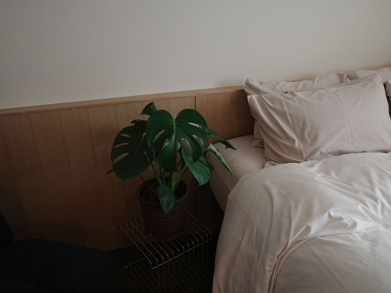 slow room（客室）定員２名まで