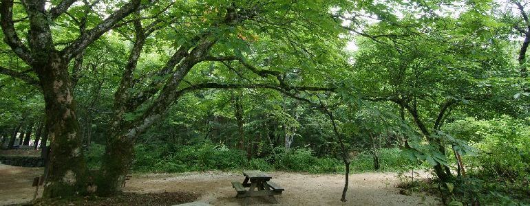 岡山県立森林公園