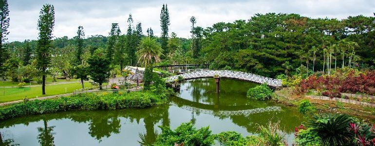 美らヤシパークオキナワ・東南植物楽園