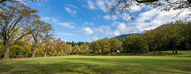 石川県農林総合研究センター 林業試験場 樹木公園