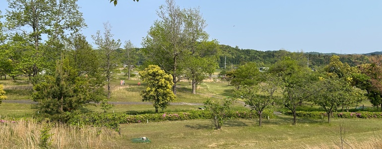 白虎山公園