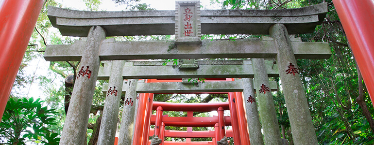 大杉神社 (あんばさま総本宮)