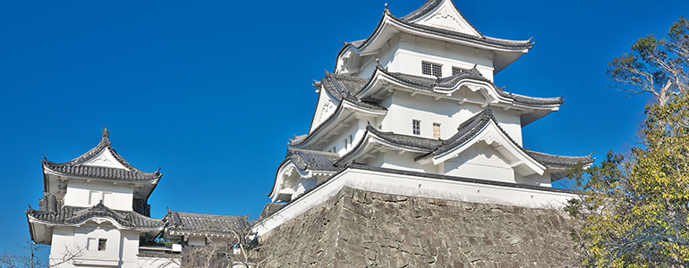 上野公園 (三重県)