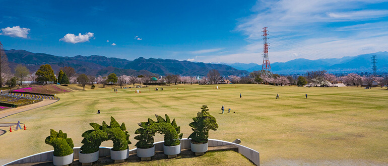 赤坂台総合公園