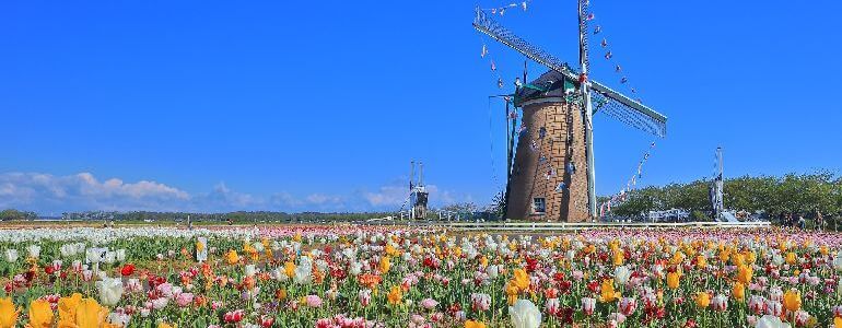 リーフデ (オランダ風車)