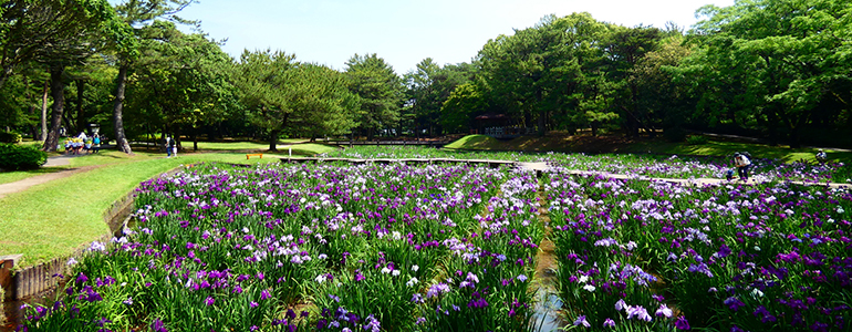 阿波岐原森林公園