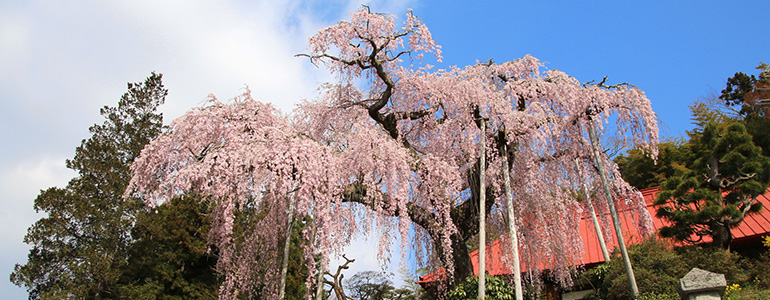 大聖寺