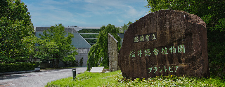 福井総合植物園 プラントピア