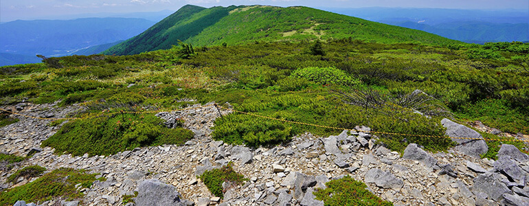 五葉山