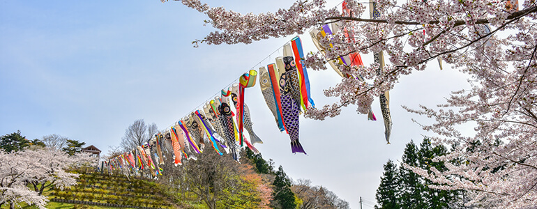 愛宕公園 (青森県)