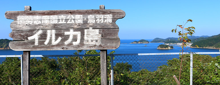 イルカ島海洋遊園地