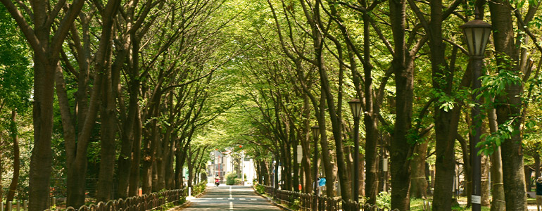 城北中央公園