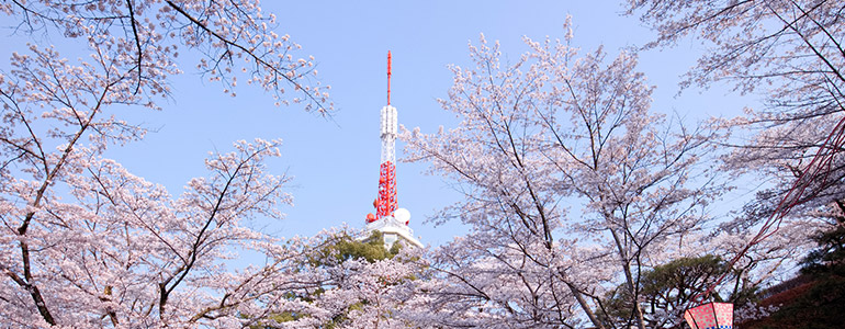 八幡山公園