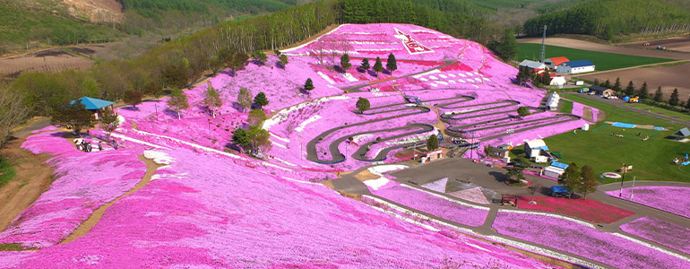 ひがしもこと芝桜公園