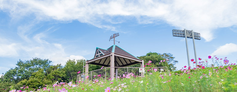 神戸総合運動公園