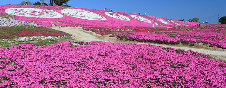 花夢の里