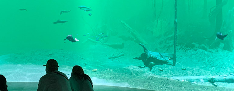 川崎水族館