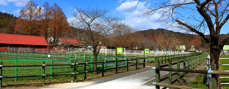 岐阜市畜産センター公園