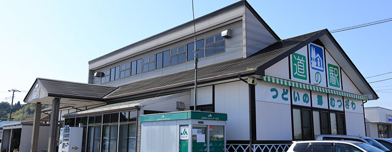 道の駅むつざわ つどいの郷
