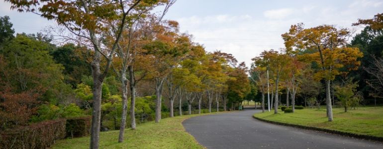 京都府立山城総合運動公園(太陽が丘)