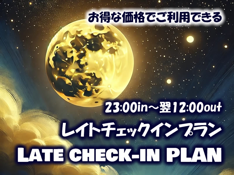 【リーズナブル】レイトチェックインプラン／23:00in～翌11:00out／DELUXE ROOM確約／素泊まり