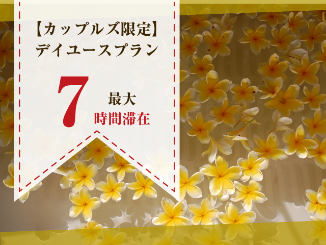 【バリアンタイプ禁煙/最大7時間滞在！】デイユースプラン(チェックイン13時～14時)(月～金)