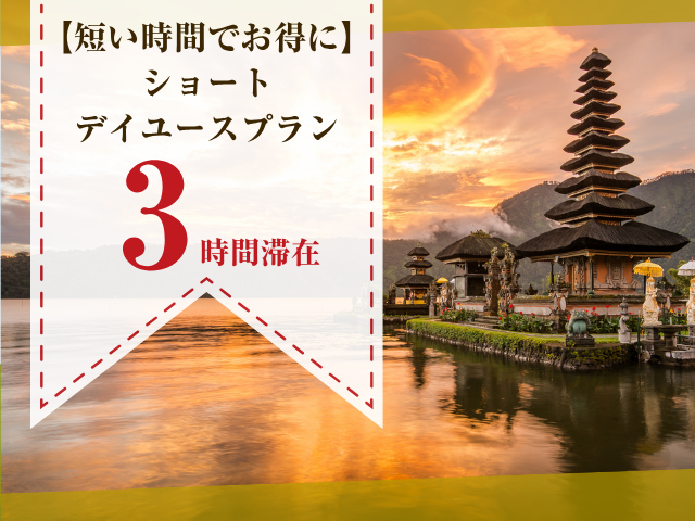 【3時間滞在】ショートデイユースプラン：夕方以降～（事前予約なら最大2,000円お得）（禁煙）
