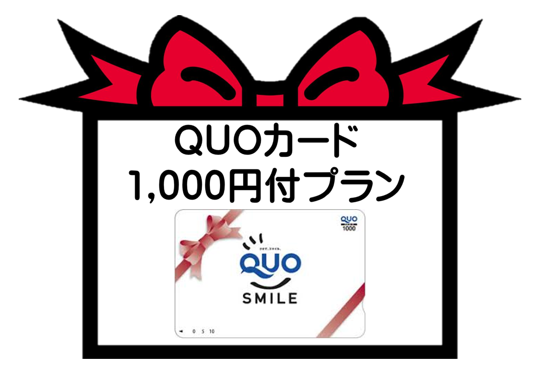 【QUOカード1000円分付き】ビジネスパーソンおすすめプラン！